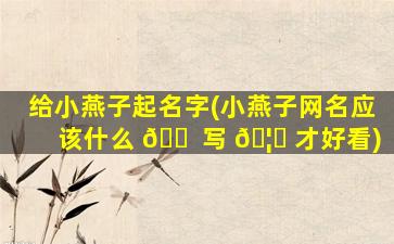给小燕子起名字(小燕子网名应该什么 🐠 写 🦁 才好看)